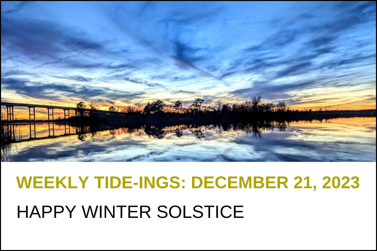 Weekly Tideings Newsletter Lynnhaven River NOW
