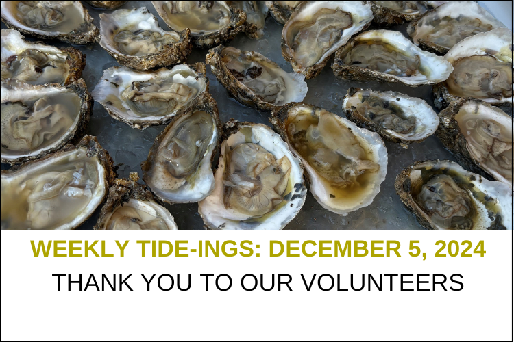 December 8 Weekly Tide-ings