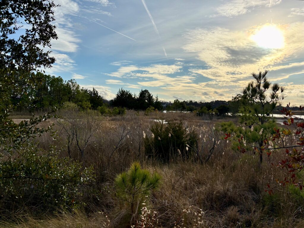 Pleasure House Natural Area