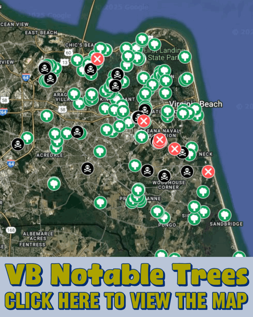 VB Notable Trees. Click Here to View the Map