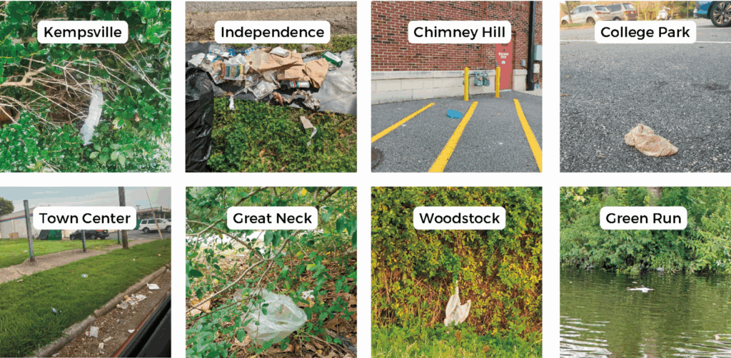 Plastic bags around Virginia Beach