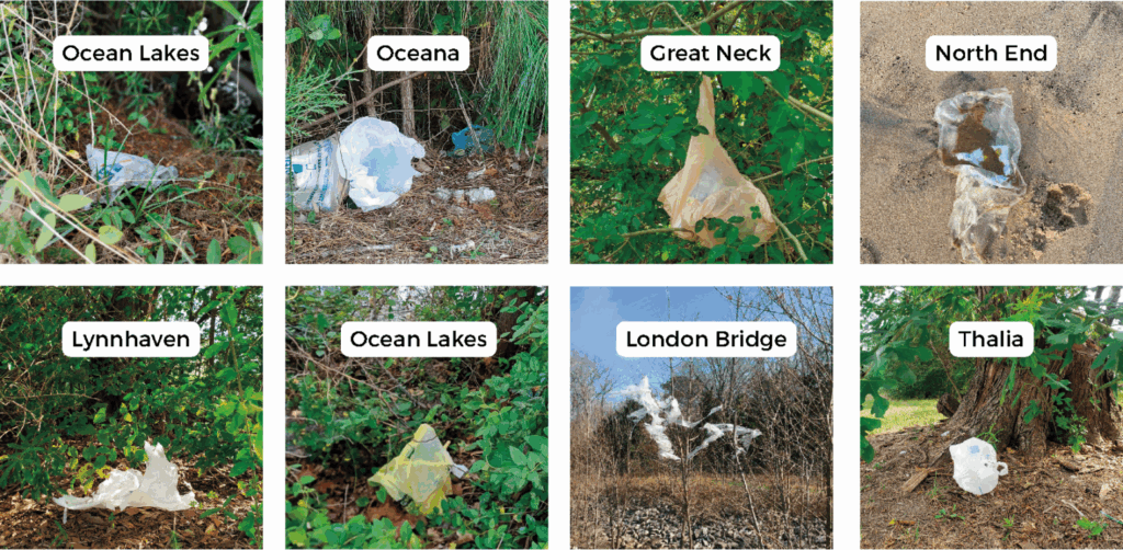 Plastic bags around Virginia Beach