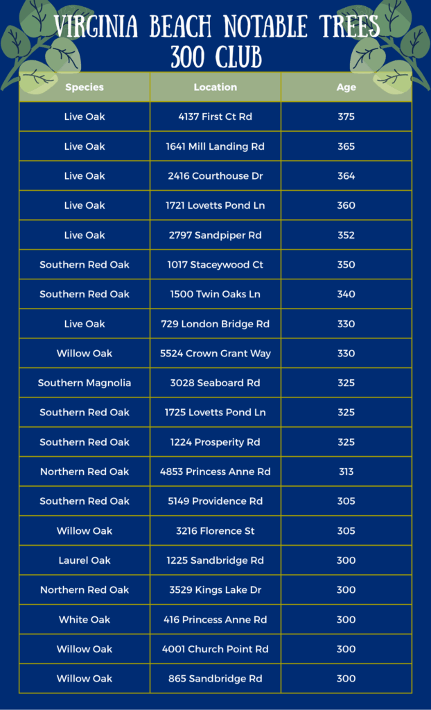 Trees over 300 years old