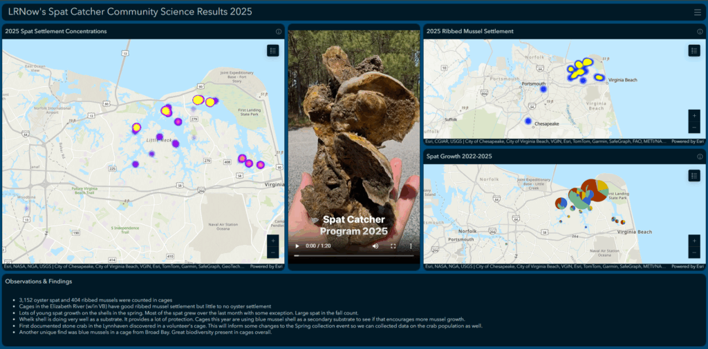 Link to Spat Catcher Dashboard